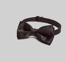 Neckie or Bow